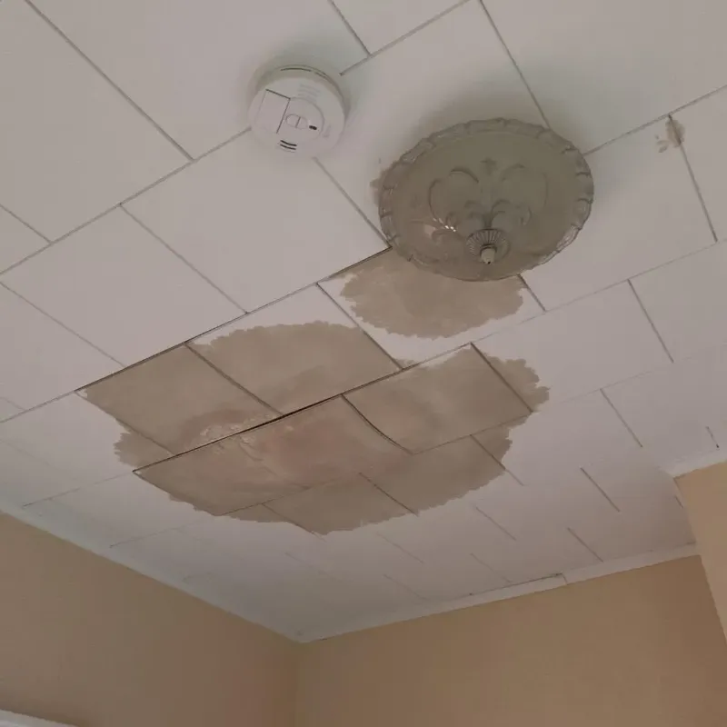 Ceiling Water Damage Repair in Shirley, NY